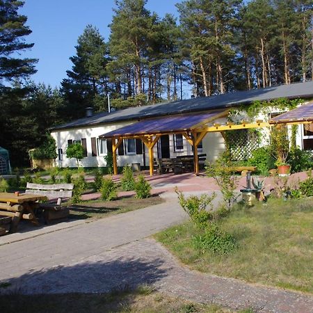 Hostel Waldhaus Am Ferienpark Mirow -Zimmer Du Wc Bagian luar foto